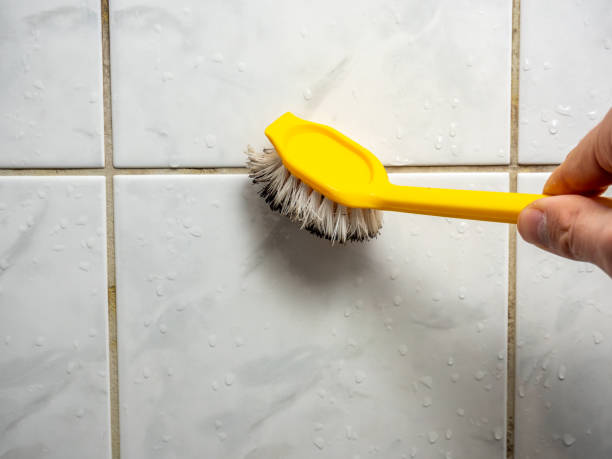 Best Mold Inspection  in Winsted, CT