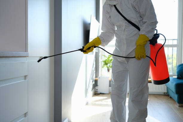 Best Professional Mold Removal  in Winsted, CT