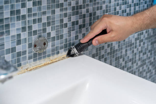 Best Residential Mold Removal  in Winsted, CT