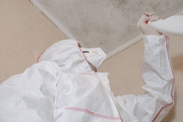Best Toxic Mold Removal  in Winsted, CT