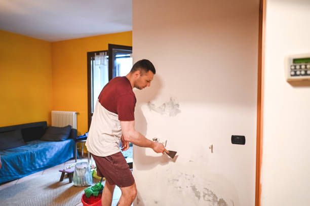 Best Crawl Space Mold Removal  in Winsted, CT
